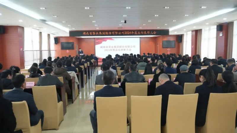 集團(tuán)公司2024年度總結(jié)表彰暨2025年工作動(dòng)員大會順利召開