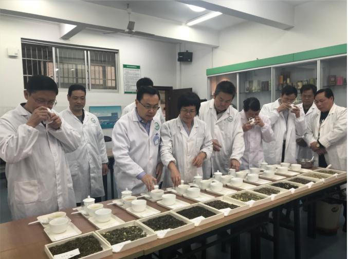 瀟湘茶業(yè)開(kāi)展花茶審評(píng)和座談會(huì)，劉仲華院士等專家共謀花茶產(chǎn)業(yè)發(fā)展